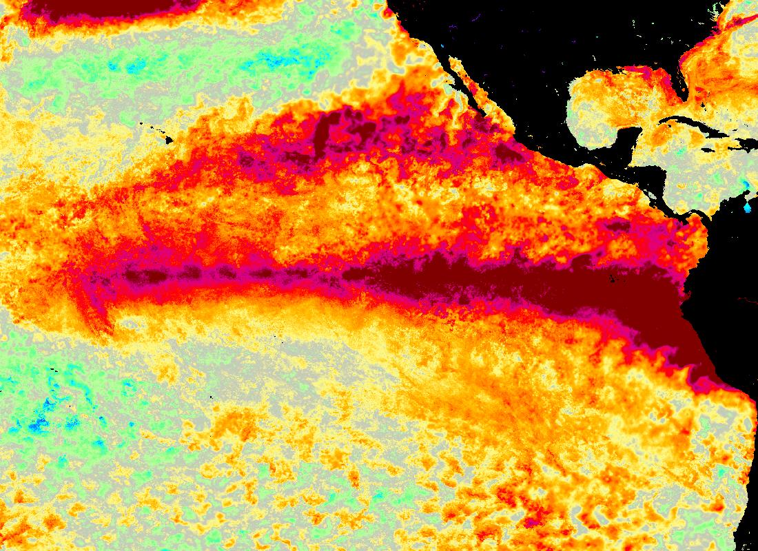 Satellite map of Pacific sea surface temperature anomalies around July 10, 2026: a warm tongue of red and orange (up to 3°C above normal) stretches west from South America along the equator through the Niño 3.4 region — the signature of the 2026–27 El Niño.