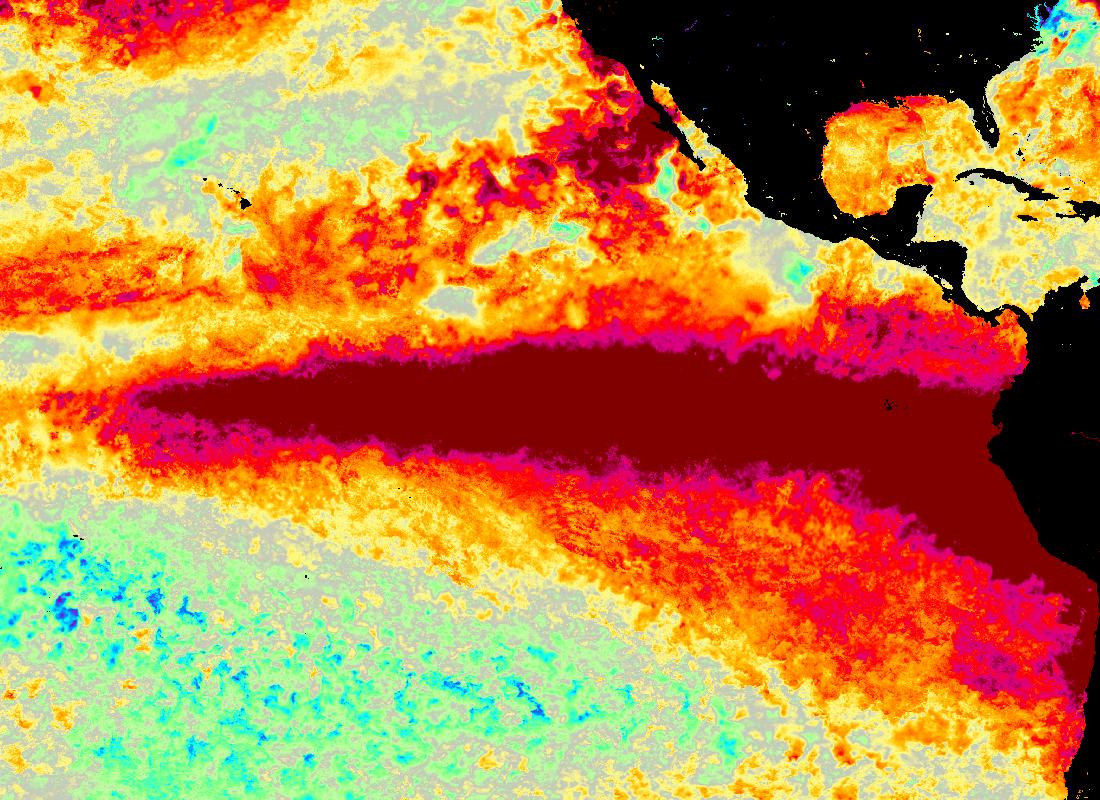 Satellite map of Pacific sea-surface temperature anomalies, Sep 30, 2026: a warm tongue along the equator from South America
