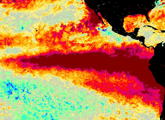 Satellite map of Pacific sea-surface temperature anomalies, Oct 6, 2026: a warm tongue along the equator from South America